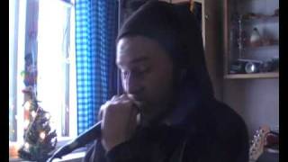 Sage Francis - Inherited Scars vocal cover.