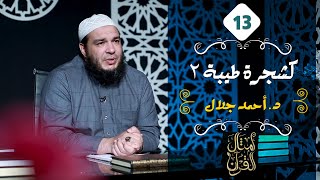 كشجرة طيبة | الجزء الثاني | الحلقة ( 13 ) | #أمثال_القرآن | د . أحمد جلال image