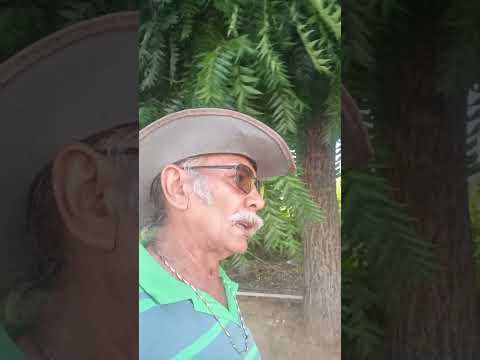 olha pessoal João amostrando pra vocês são José de princesa Isabel.