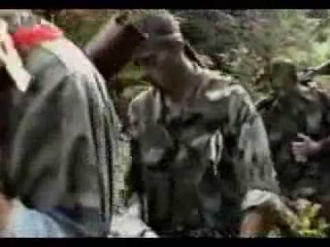 Oluja - Dani ponosa i slave