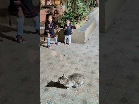 Ruha Ved n Cats #cutebaby #music #cat