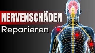 9 Unglaubliche Getränke zur Reparatur von Nervenschäden