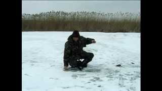На какой глубине ловят зимой окуня