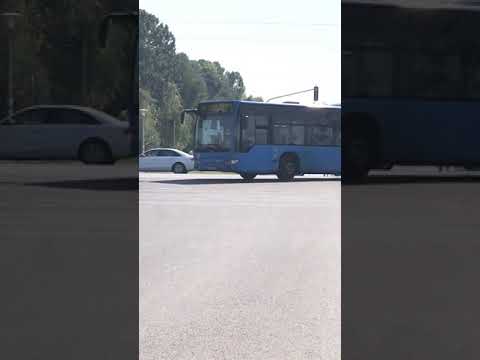 Drsko preguravanje ZETovog zglobnog autobusa