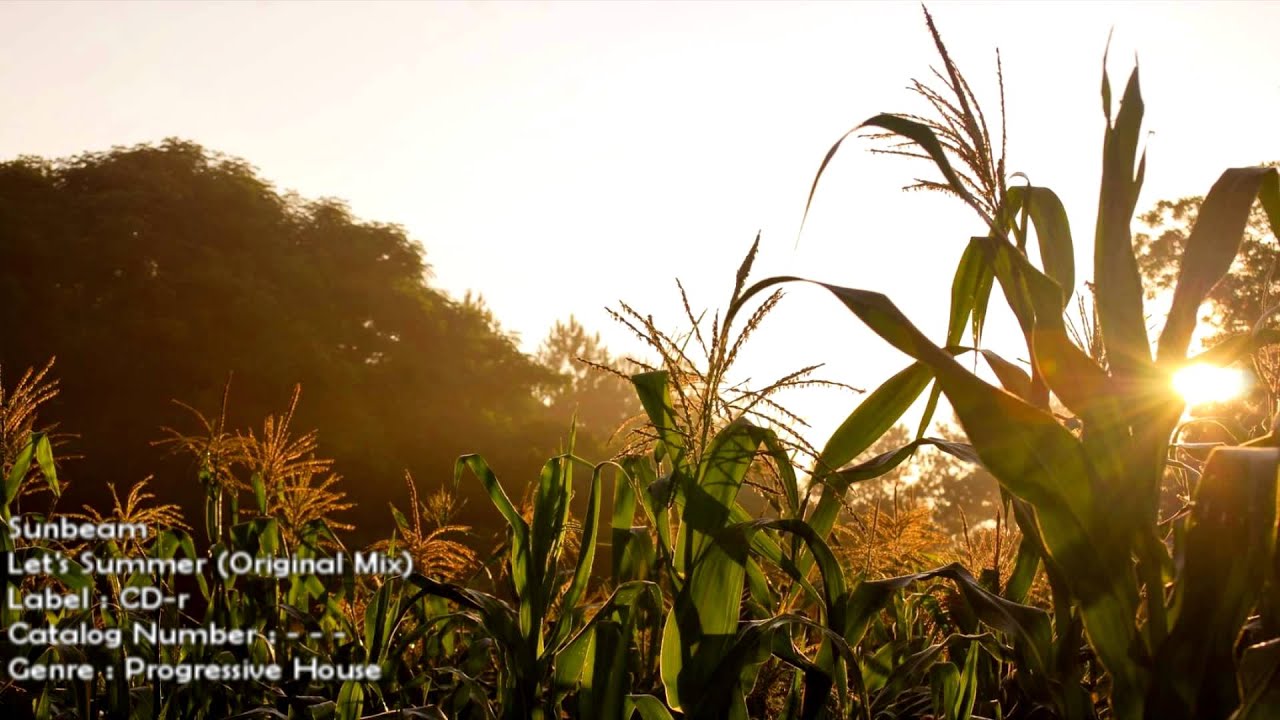 Sunbeam - Let's Summer (Original Mix) [HD 1080p] [FREE]