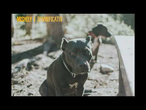 Mishely - Semnificativ