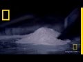 The Medical Heroin Experiment National Geographic
