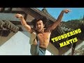 Wu Tang Collection Thundering Mantis WIDESCREEN