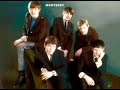The Animals  - To Love Somebody