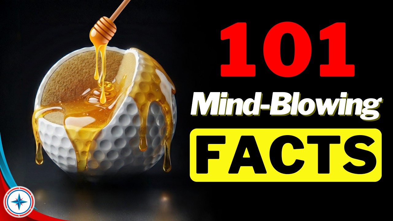 101 Facts Too Weird to Believe | You've Been Lied To !!