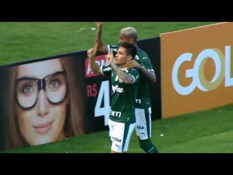 GOLAÇO DE VOLEIO | CSA 1 x 1 Palmeiras (720p) Melhores momentos