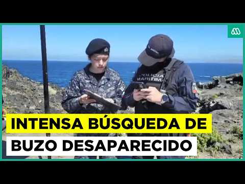 Desaparición de buzo en Caleta Chañaral de Aceituno: indagan posible ataque de tiburón