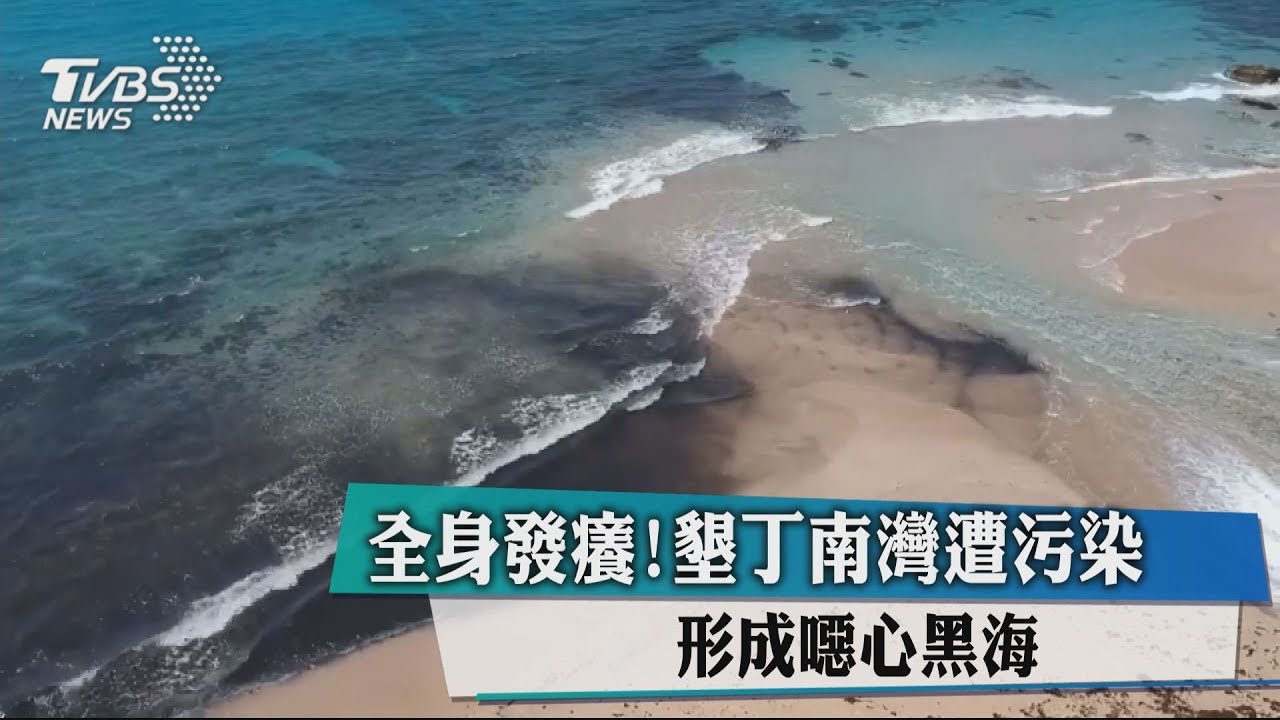 全身發癢！墾丁南灣遭污染　形成噁心黑海