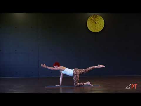 eliPT Pilates-Übung 6 • Vierfüssler kniend rechts