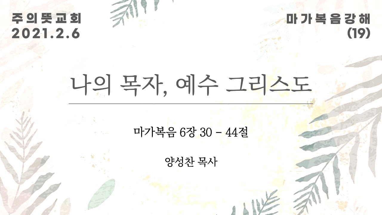 마가복음 강해(19), 나의 목자, 예수 그리스도 , 마가복음 6장 30 - 44절, 양성찬 목사, 주의뜻교… 영상 썸네일