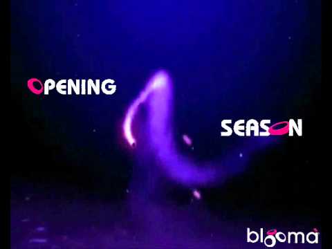 OPENING SEASON bloomà - saturday 13.10.2012