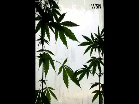 Jenis beat prod. wuesen