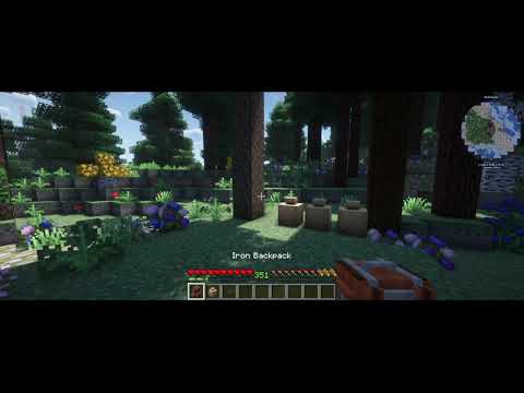 Supplementaries and Sophisticated Backpacks dupe. (ATM8) [FIXED]