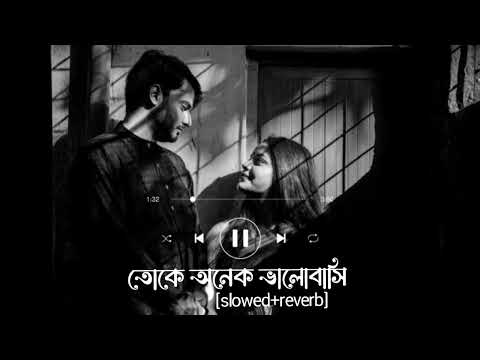toke onek valobasi | তোকে অনেক ভালোবাসি | slowed reverb | Bangla song #trending #viral