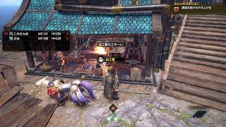 大佐と始めるダブル縛りモンスターハンターサンブレイク　19日目
