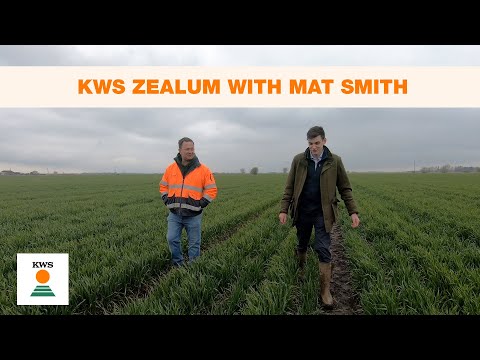 KWS Zealum with Mat Smith