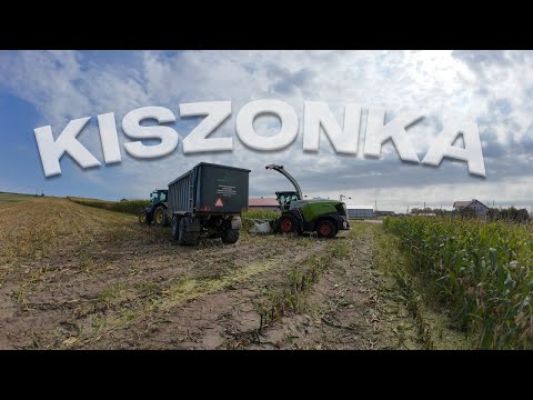 Kiszonka w Zielonych Barwach !🔥Oporowe Koszenie Kukurydzy!🔥UR AgroPark🔥