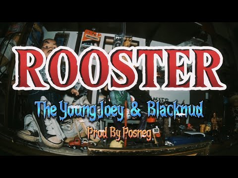 ROOSTER - YOUNG JOEY ft. BLACKNUD ( official mv )