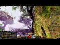 Guild Wars 2 (Dragonfall) - Melandru's Chalice Vista