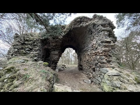 Zřicenina hradu Templštejn, Dub a Zřícenina tvrze Tasov
