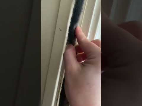 DIY | WEATHER STRIP SEAL INSTALL ✨ #foryou #fypage #shorts #diy #fyp #foryourpage #garagedoor #draft