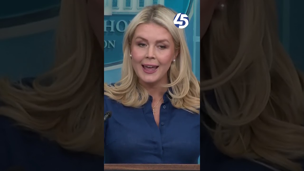 Leavitt says Strait of Hormuz is reopened despite reports it's closed