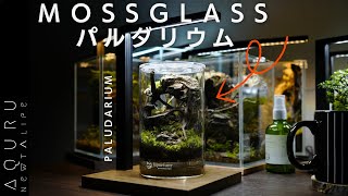 接着剤を使ったパルダリウムを作ってみた│MOSSGLASS✕ PALUDARIUM SETUP