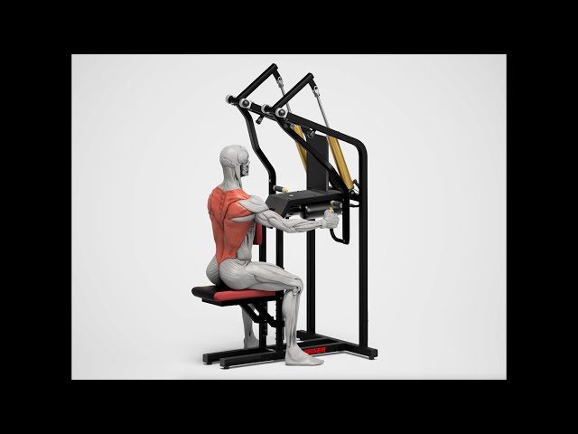 Keiser A400 Upper Back