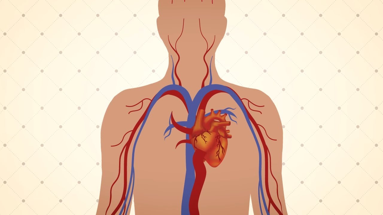 Miguel Ángel Cortés Vázquez-8