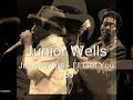 Junior Wells-I’ll Get You Too