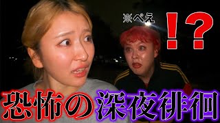 もうおもろいのやっぱり天才www - ぺえと散歩したら事件連発で大騒ぎwww