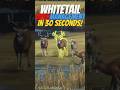 COTW Whitetail Herd Management In 30 Sec G1 Whitetail Grind Thehuntercallofthewild Cotw