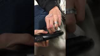 Installing the ABUS Pro Tectic 4960 Frame Lock with Clutching Strap LH Adapter on a Bunch Cargo Bike