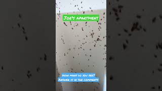 🏡 An Extremely DIRTY house with Roaches ‼️ 🤢