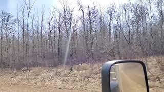 slo-mo deer crossing