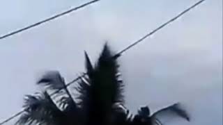 Download lagu Penampakan nabibkah malaikat yah??? mp3