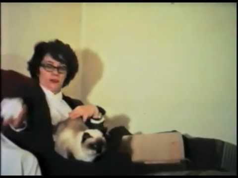 Les chats Céleste et Suprême avec Brigitte Cornand - Cinématou #8