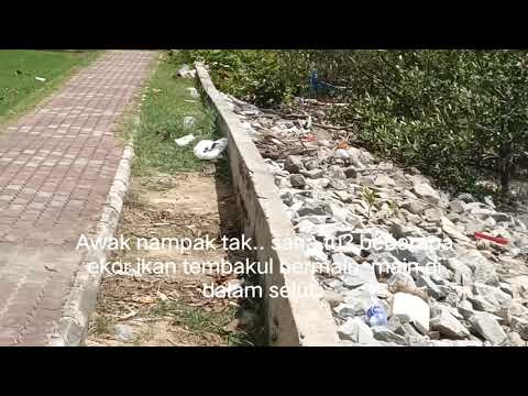 Pantai Leka, Pt. Jawa, Muar | 31.10.2021