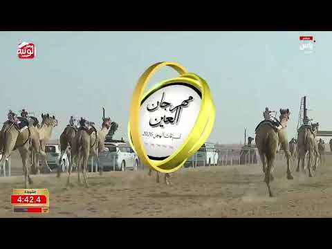  ش 4 (طريف) لـ أحمد سلطان بالرشيد السويدي 9:29:48 , ختامي العين 2026/10/08 حول زمول الروضة