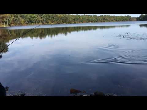 Baldpate Pond, Boxford MA