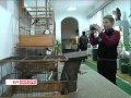 2015-04-02 г. Брест. Открытие недели птиц в краеведческом музее ...