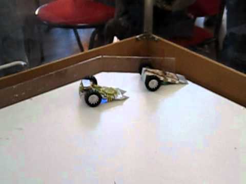 AWS33 Kitty vs The Ant Trap