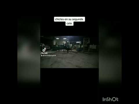 las calas de rancho el guayabito 🔥