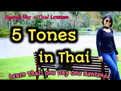 5 Tones in Thai language : Thai Learners Must-Know | Learn Thai one day one sentence