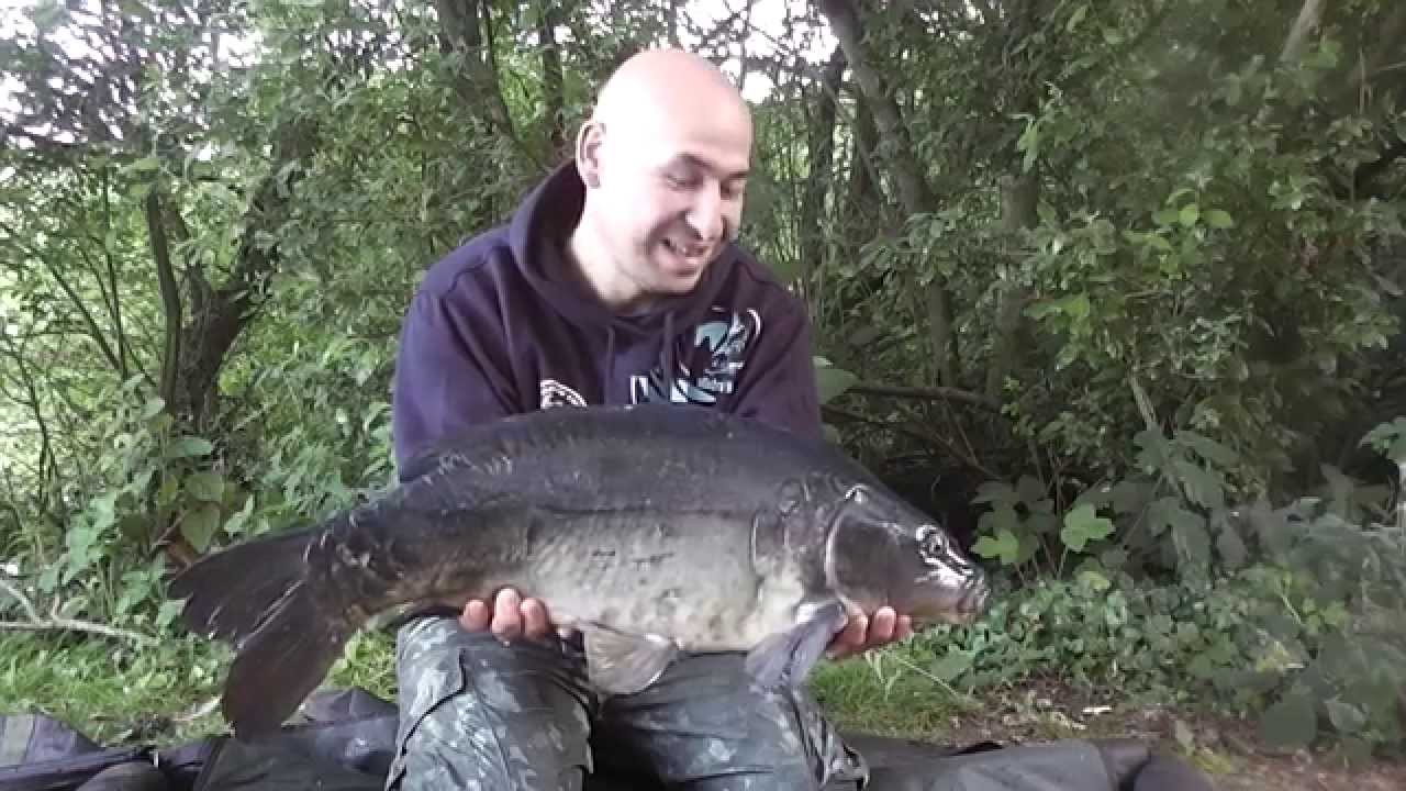 Episode 129 - Back Of The Landing Net Autumn Carping